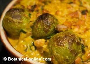 Brussels sprouts with curry sauce, freshly cooked in the oven.