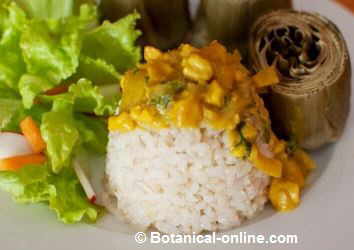 Brown rice with coconut sauce, cashews and curry