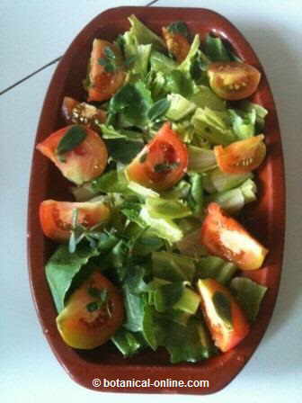 purslane salad