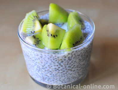 Chia pudding