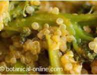 Quinoa with broccoli and curry or turmeric
