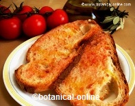 Bread with spread tomato 