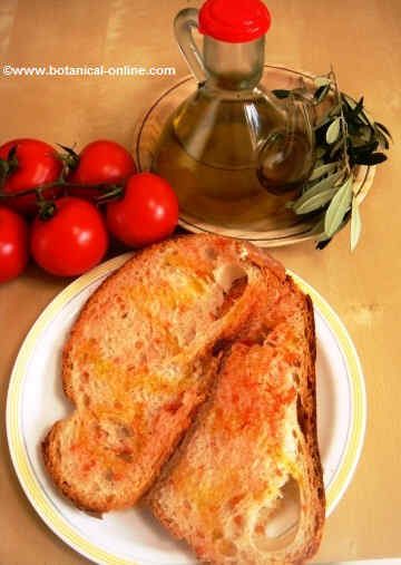 Bread, tomato and olive oil