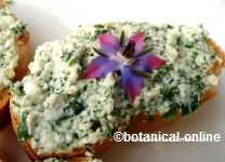 fine herbs cheese