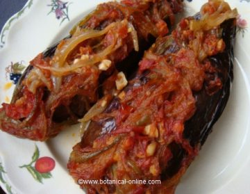 Stuffed eggplants recipe