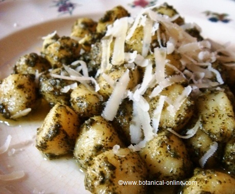 gnocchi au pesto