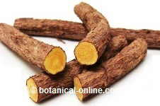 Licorice root