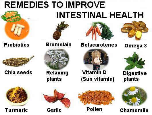 remedios, suplementos y plantas para mejorar enfermedades intestinales o del intestino