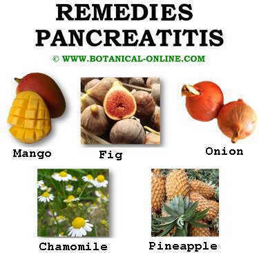 Medicinal plant remedies for pancreatitis