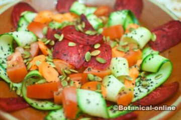 raw beet salad