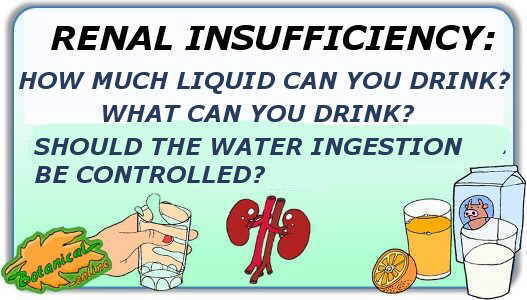 Ingestion of water and fluids in chronic renal failure