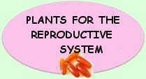 Mediicinal plants for the reproductive system