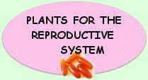 Mediicinal plants for the reproductive system