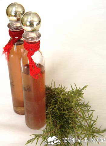 rosemary infusion