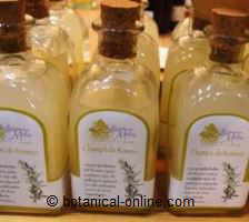 Rosemary shampoo