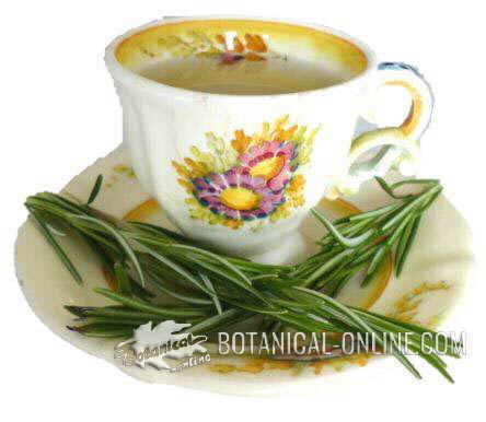 Photo of rosemary infusion 