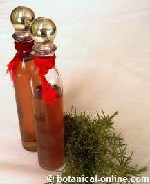 rosemary water for skin