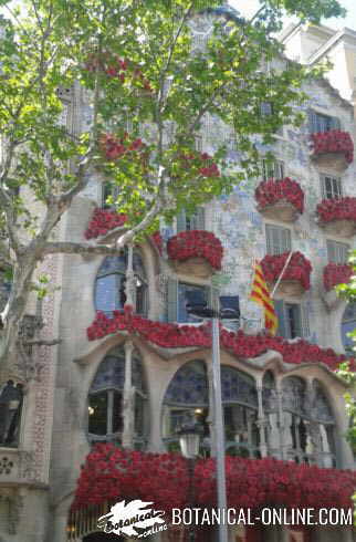 casa batlló