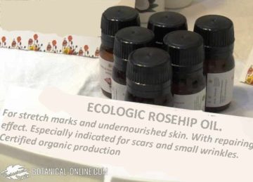 rosehip oil