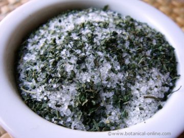 herb salt 