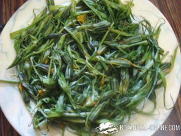 boiled salsify flower