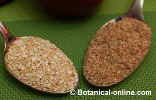 Oats bran (left) and wheat bran (right)
