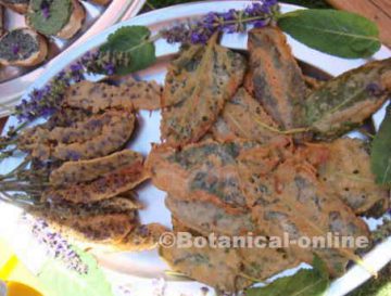 Salvia leaves battered in oil