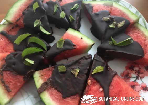 Photo of watermelon pizza with peppermint and chocolate