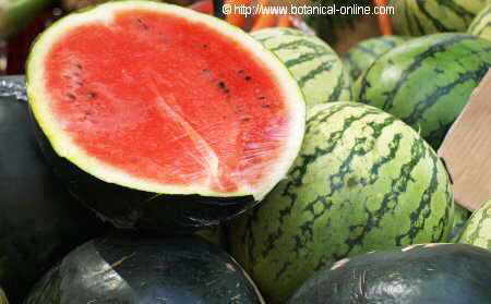 Photo of half watermelon