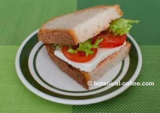 Vegetarian sandwich