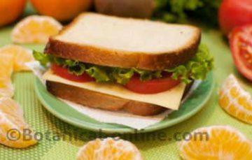 A cheese sandwich with fruit