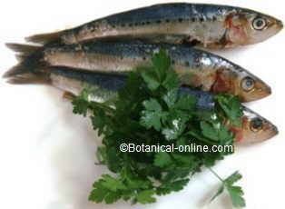 parsley with fish