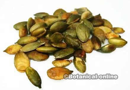 pumpkin seeds