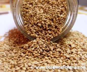 whole sesame seeds,