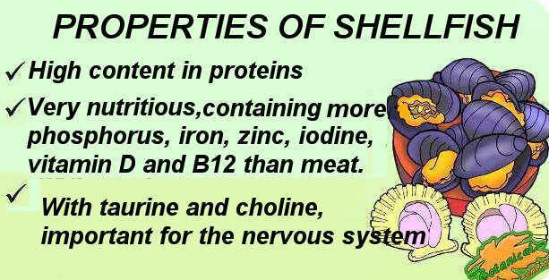 shellfish properties