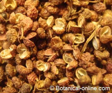 sichuan pepper