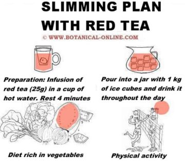 How to loose weight with a red tea slimming plan