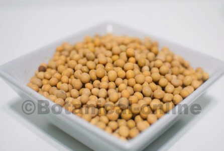 soy is rich in isoflavones