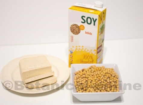 Photo of soy products