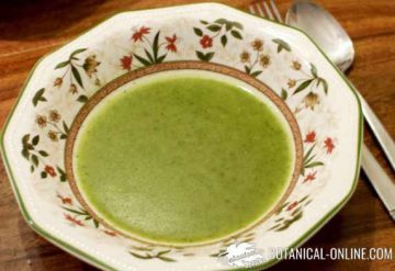 Nettles Soup