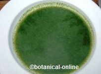 Nettle soup