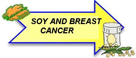 soy and breast cancer