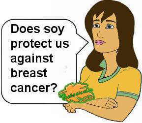 soy in cancer prevention 