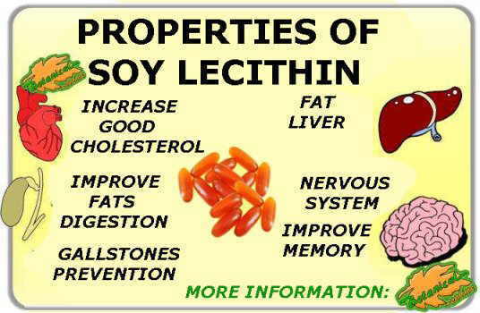 Main properties of soy lecithin 