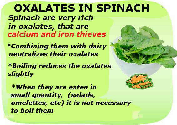 Oxalates in spinach