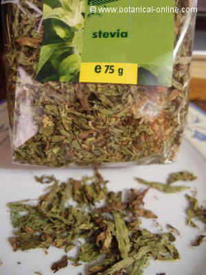 Dried stevia leaves