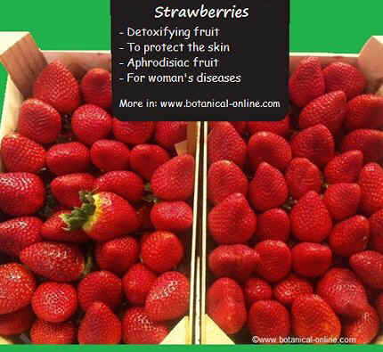 strawberry properties