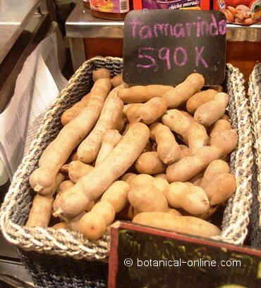 tamarind