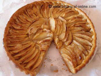 apple pie