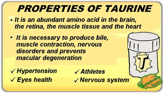 taurine properties and benefits